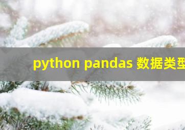 python pandas 数据类型